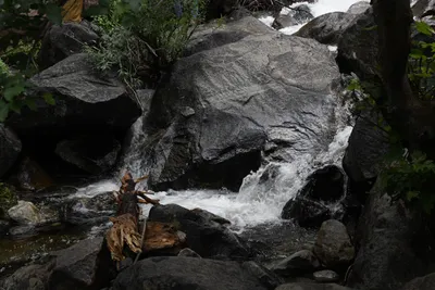 DSC_4617 (Large).JPG